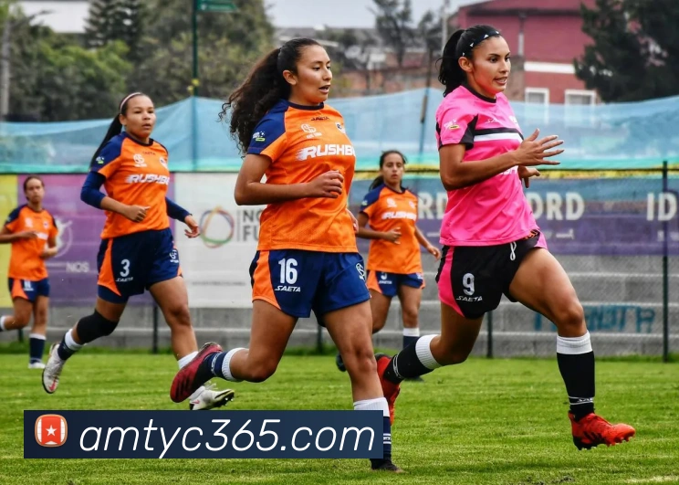 平台展示图